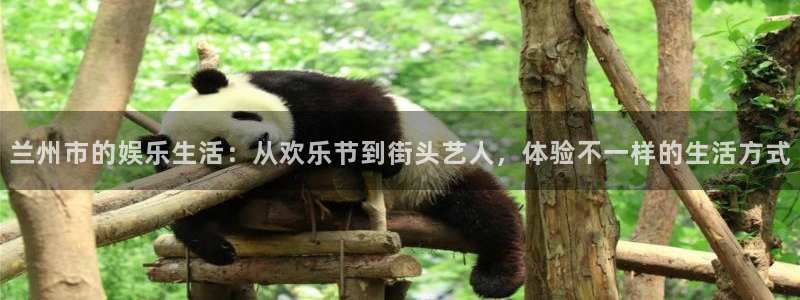 888贵宾会官网：兰州市的娱乐生活：从欢乐节到街头艺人，体验不一样的生活方式