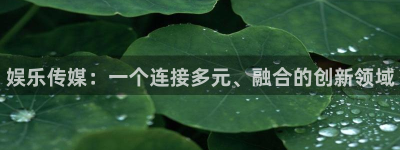 888贵宾会官网：娱乐传媒：一个连接多元、融合的创新领域