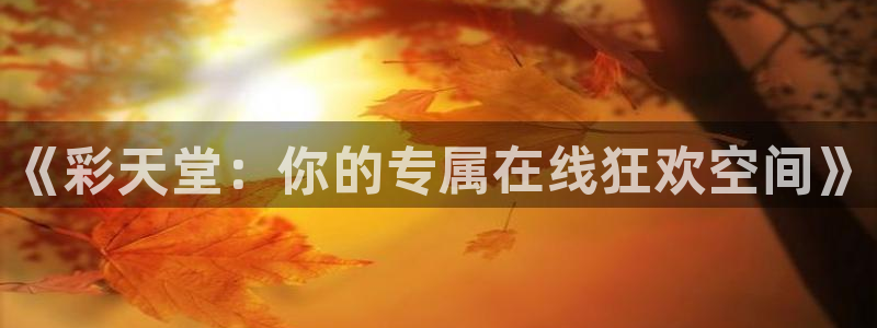 888贵宾会官网：《彩天堂：你的专属在线狂欢空间》