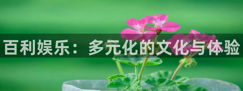 888贵宾会官网：百利娱乐：多元化的文化与体验