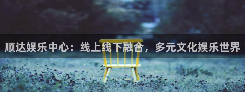 888贵宾会官网：顺达娱乐中心：线上线下融合，多元文化娱乐世界