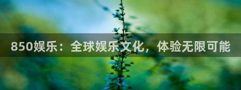 888贵宾会官网：850娱乐：全球娱乐文化，体验无限可能
