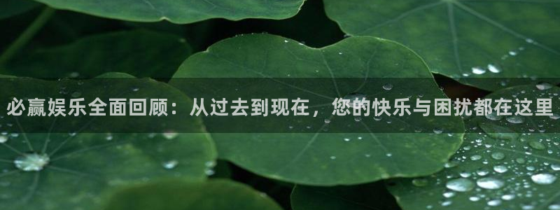 888贵宾会官网：必赢娱乐全面回顾：从过去到现在，您的快乐与困扰都在这里