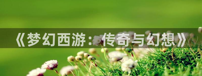 888贵宾会官网：《梦幻西游：传奇与幻想》